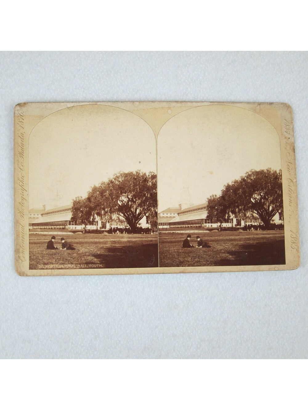 Antique 1884-1885 New Orleans Exposition Stereoview #50 Horticultural Hall RARE